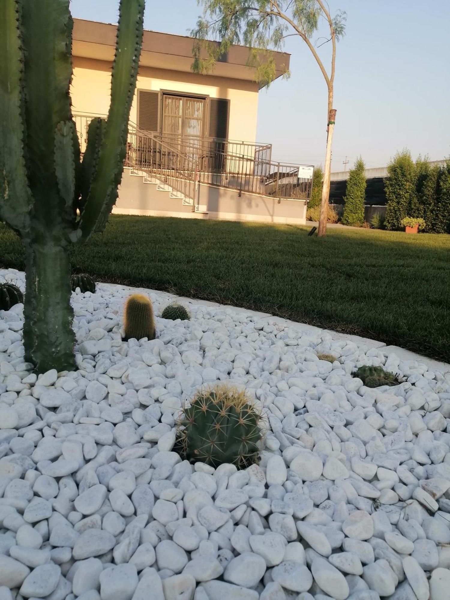 La Casa Del Borgo-Intero Appartamento Latina Dış mekan fotoğraf