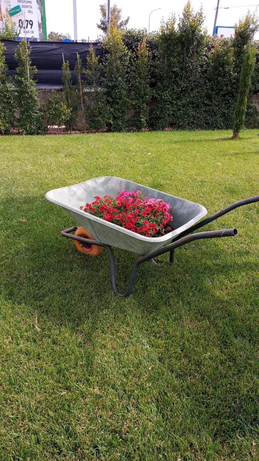 La Casa Del Borgo-Intero Appartamento Latina Dış mekan fotoğraf